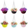 Eightiz Plastic Hanging Pot, Multicolour, Pot Diameter -7.1 Inch, Pot Height -4.8 Inch, Pot Thickness -3 mm, Chain Length -13 inch Approx., 6 Pieces