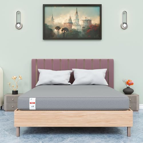 boAt Bassheads 100 C Wired Headphones Earphones with Type-C Jack, in-Line Microphone, in Ear, 10Mm Drivers, Signature Sound, Integrated Controls & Multi-Os Compatibility (Black)