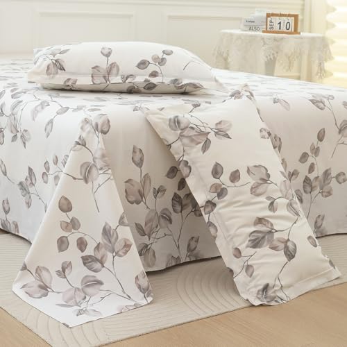 Status Contract Anti Slip Front Door Mat|(38x58cm) Living Room Rug for Entrance Door|Polypropylene Floor Mat for Home|Essential Small Rug for Office, Bedroom & Kitchen| (Brown), Rectangular