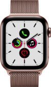 Apple Watch Series 5 GPS + Cellular(Gold Strap, Regular)