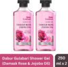 Dabur Gulabari Body Wash Shower Gel (Combo Pack) – Damask Rose & Jojoba Oil | 100% Soap free(2 x 250 ml)