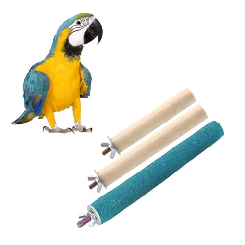 Sage Square Wooden Stand Sand Platform Made of Natural Wood, Combo of Two (6*4.5 & Sand 6*4.5 inch) Rectangle Shaped Perch Stand, Cage Accessories, Playful Toy, Suitable For Birds, Parrots, Budgies