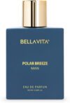 BELLAVITA POLAR BREEZE Perfume for Men|Citrusy & Woody Notes|Long Lasting Fragrance| Eau de Parfum  –  100 ml(For Men)