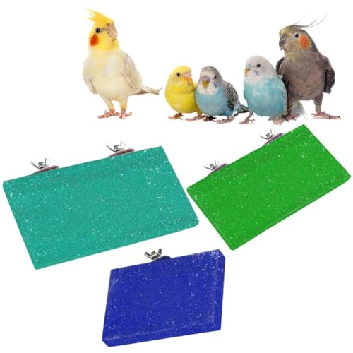 Spinz Enchante Perfumed Deo for Women, with International Fragrances for Long Lasting Freshness and 24 Hours Protection from Odour causing Bacteria, 200ml