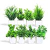 MIMICROPS Artificial Plants with Pot 8 Pack | Realistic Looking | Multi Variety | Durable Plastic | No Maintenance | Home Decor | Dimensions: 5 cm X 15 cm (Pack of 8)