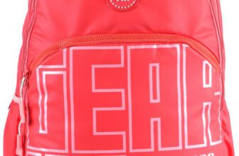 Gear ARISE BACKPACK 40 L Backpack(Pink)