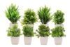 MIMICROPS Artificial Plants with Pot 8 Pack | Realistic Looking | Multi Variety | Durable Plastic | No Maintenance | Home Decor | Dimensions: 5 cm X 15 cm (Pack of 8)