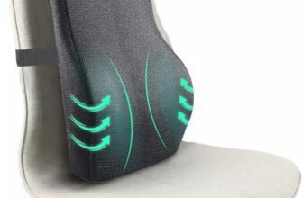 Sleepsia Lumbar Support Memory Foam Orthopedic Back Cushion – Back Rest Cushion for Car, Chair and Office Chair (17.5″ L× 15.5″ W × 5.5″ H) Black