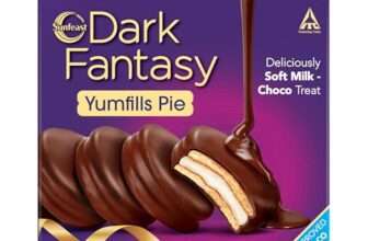 Sunfeast Dark Fantasy Yumfills Whoopie Pie, Chocolate Chip, 253g