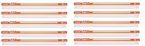 MollisHomes Vegetable Storage Container – 4 grid | Container Boxes for Storage with Drain Tray | Plastic – 1.5l Capacity, transparent White Fridge Organizer | Kitchen Storage Box And Storage Organiser