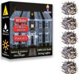 FIZZYTECH 40 LEDs 11 m White Color Changing String Rice Lights(Pack of 5)