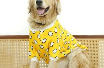 Pet’s Way Dog Sweatshirts (Pingu-S) | Dog Winter Wear Sweaters | Available for All Breeds