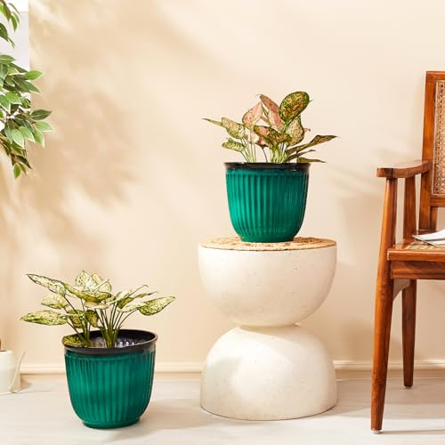 Amazon Brand- Solimo Indoor and Outdoor Round 10 Inch Athens Flower Planter Pot Best for Terrace/Balcony/Home/Office Decor – Set of 2