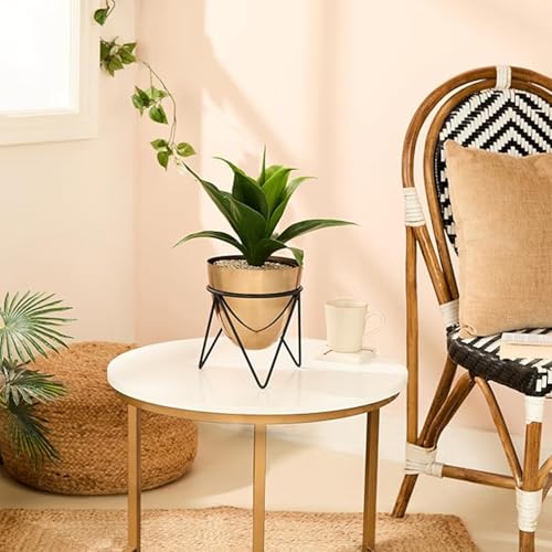 MILTON Brim 600 Stainless Steel Water Bottle 560 ml, Single Walled, ISI Certified I Leak Proof Lid, Rust Proof I For School, Office, Gym I Black