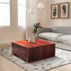 Amazon Brand – Solimo Korngold Solid Sheesham Wood Coffee Table with 2 Drawers (Honey Finish)