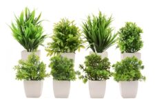 MIMICROPS Artificial Plants with Pot 8 Pack | Realistic Looking | Multi Variety | Durable Plastic | No Maintenance | Home Decor | Dimensions: 5 cm X 15 cm (Pack of 8)