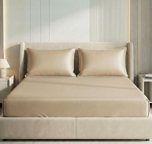 Dholaji Remote Control Star Fighter Drone with Controller, LED Lights, 2.4G Signal, EPP Body