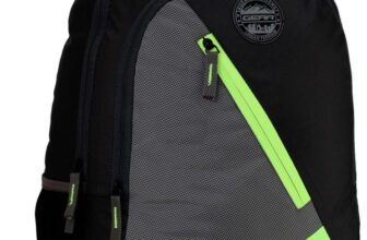 Gear Blocky 31 L Laptop Backpack(Multicolor)