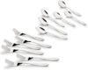 BERGNER Essential Plus Passion 6 Dinner Spoon and 6 Dinner Fork, 12 Pcs Stainless Steel Cutlery Set(Pack of 12)
