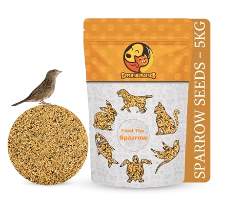 Get Fresh Afghan Anjeer | Known for Its Naturally Mild Sweet | Mountain Figs(1 x 1000 g)
