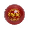 DSC Grade Cricket Leather Ball – Premium Alum Tanned, Four-Piece Professional Match Ball – Standard Weight & Size (Red, Pack of 1)