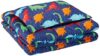 AmazonBasics Kid’s Comforter Set – Soft, Easy-Wash Microfiber – Twin, Multi-Color Dinosaurs