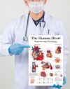 Tamatina Wall Posters | Educational Posters | Biology | Anatomy | Hospitals | Study | School | College | Laminated | Tearproof |Size-45X30 cms.a4790