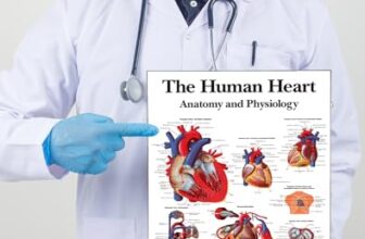 Tamatina Wall Posters | Educational Posters | Biology | Anatomy | Hospitals | Study | School | College | Laminated | Tearproof |Size-45X30 cms.a4790