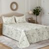 Cortina Cloud Cotton King Size Bedsheet with 2 Pillow Covers | Super Soft, Breathable & Skin-Friendly Bedsheet for Double Bed King Size White Floral Print| (White,270×250 cm)