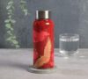 India Circus by Krsnaa Mehta Legend of the Cranes Small Stainless Steel Water Bottle, 550 ml, Multicolour (Pack of 1)