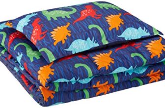 AmazonBasics Kid’s Comforter Set – Soft, Easy-Wash Microfiber – Twin, Multi-Color Dinosaurs