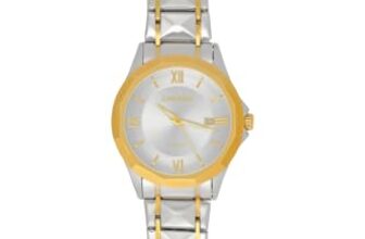 ZAVOURE Men’s Chronograph Watch, Stainless Steel Case, Analog Display, Gold, Round Dial, Water Resistant 30M (Gold, Stainless Steel) Radiant Champaign