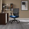 Interio by Godrej Greta Mid Back Black Body Fabric Ergonomic Chair (Royal Blue)
