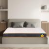 Centuary Mattresses Sleepables | 7 Years Warranty | 6-Inch King Size Dual Comfort Hard and Soft Reversible Roll Pack High Resilience (HR) Foam Mattress (72x72x6)