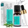 Rey Naturals Rosemary Essential Oil with Dropper Cap – Hair Growth & Dandruff, 15ml