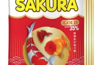 Sakura Gold Super Premium Fish Food with Vitamin Complexes + Krill & Astaxanthin in Micro 1mm Pellet 20gm